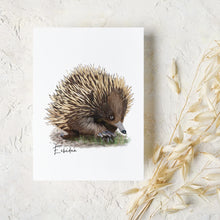 Load image into Gallery viewer, Charming &amp; Unique Australian Native Echidna Poster, Tote Bag &amp; Card Set
