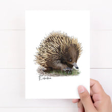 Load image into Gallery viewer, Charming &amp; Unique Australian Native Echidna Poster, Tote Bag &amp; Card Set
