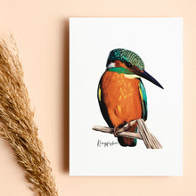 Load image into Gallery viewer, Bright &amp; Alluring Australian Native Kingfisher Poster, Tote Bag &amp; Card Set
