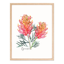 Load image into Gallery viewer, Bold &amp; Vibrant Australian Native Grevillea and Waratah Poster | Set of 2
