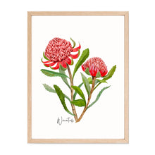 Load image into Gallery viewer, Bold &amp; Vibrant Australian Native Grevillea and Waratah Poster | Set of 2
