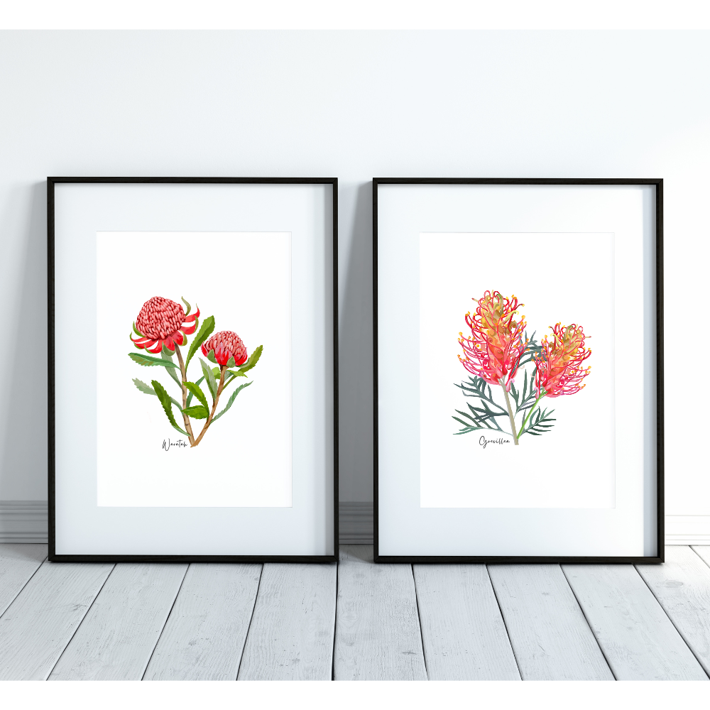 Bold & Vibrant Australian Native Grevillea and Waratah Poster | Set of 2