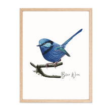 Load image into Gallery viewer, Lively &amp; Radiant Australian Native Blue Wren Poster, Tote Bag &amp; Card Set
