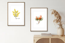 Load image into Gallery viewer, Bold &amp; Striking Australian Native Banksia Poster | Set of 2
