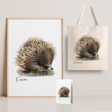 Load image into Gallery viewer, Charming &amp; Unique Australian Native Echidna Poster, Tote Bag &amp; Card Set
