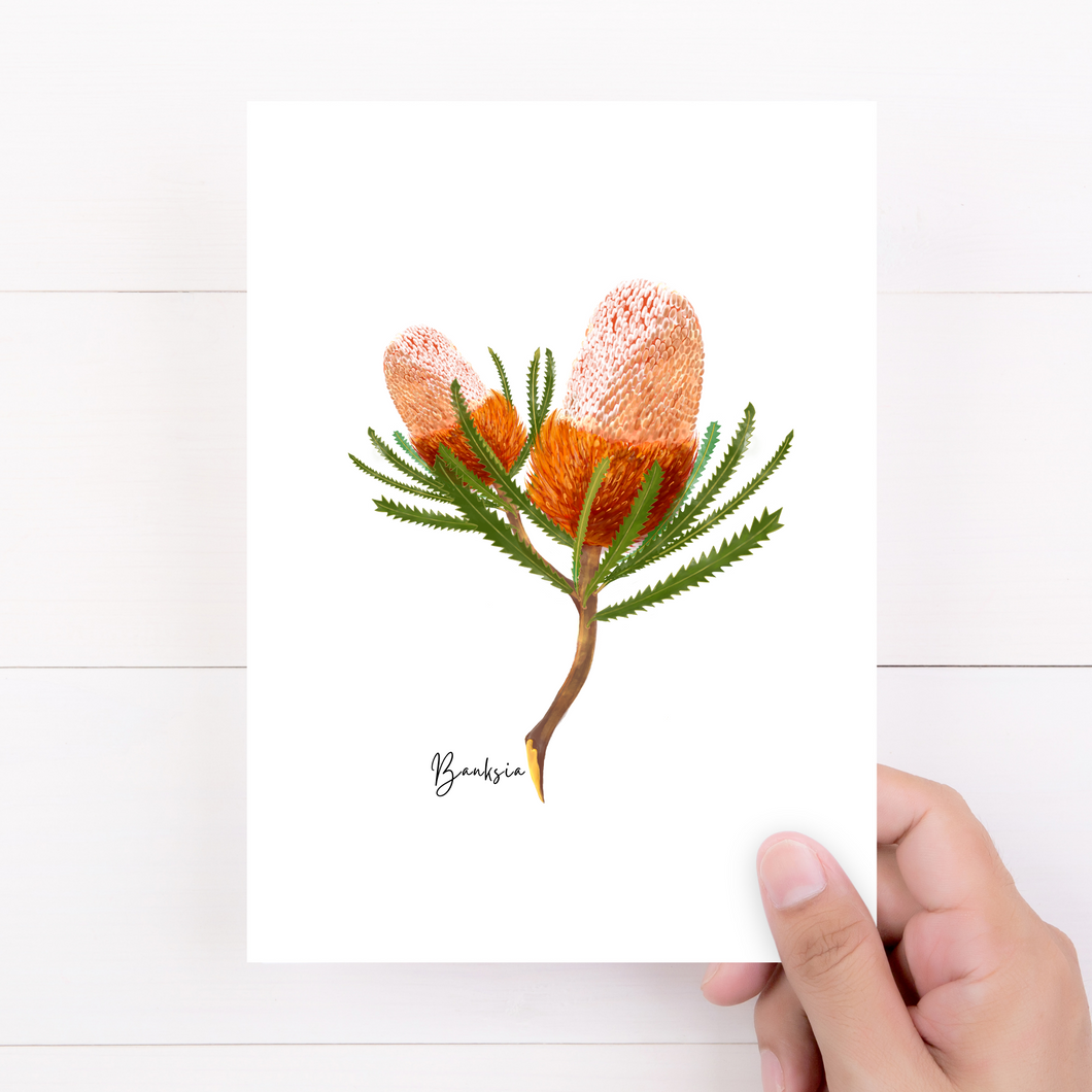 Banksia Flower Card
