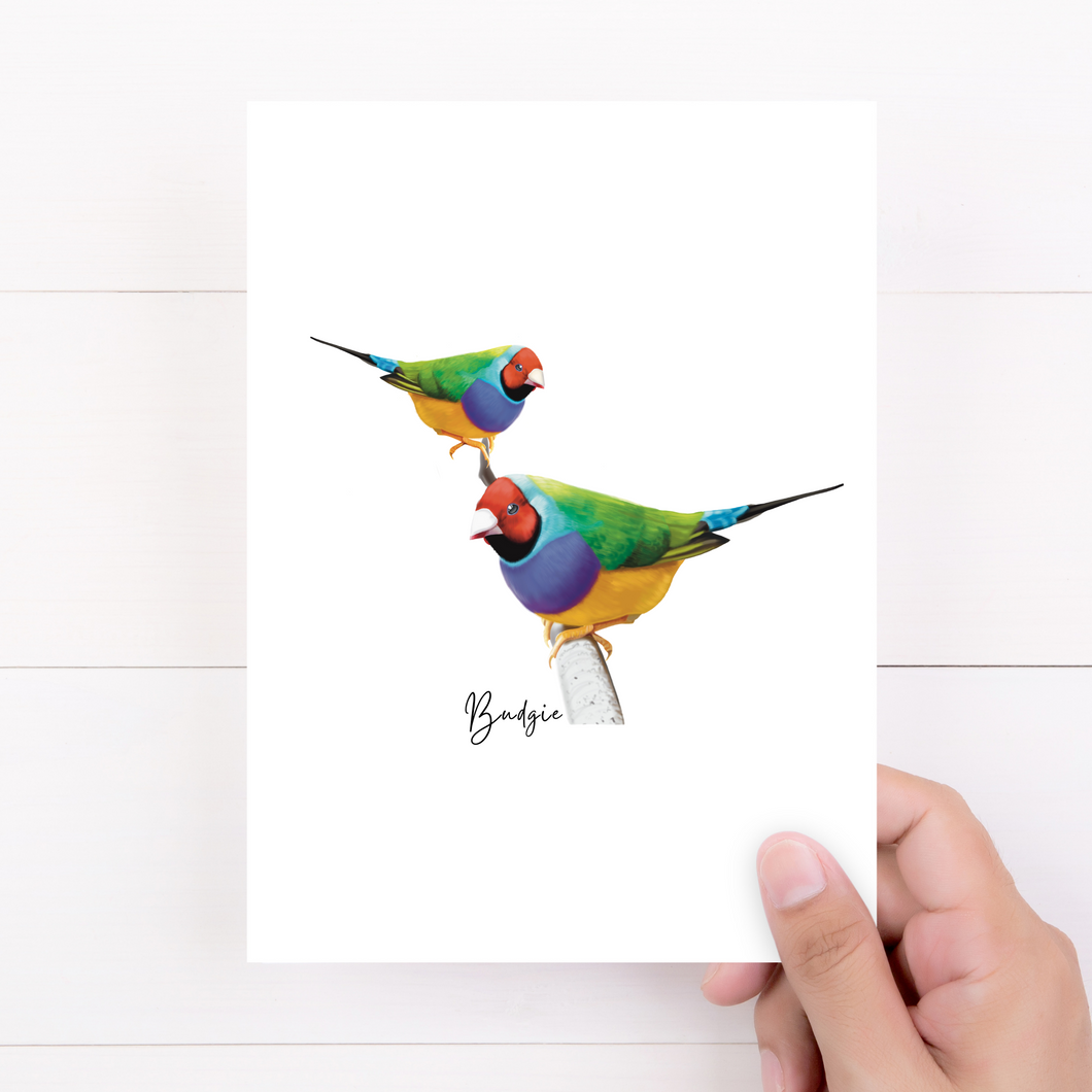 Gouldian Finch Card