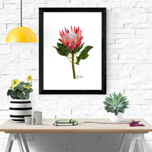 Load image into Gallery viewer, Protea Flower Poster
