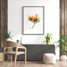 Load image into Gallery viewer, Banksia Flower Poster
