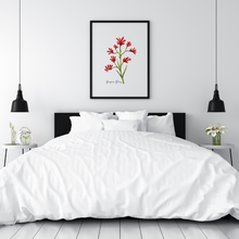 Load image into Gallery viewer, Kangaroo Paw Flower Poster
