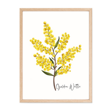 Load image into Gallery viewer, Golden Wattle Flower Poster
