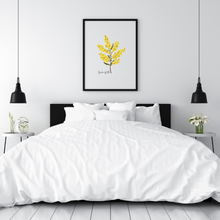 Load image into Gallery viewer, Golden Wattle Flower Poster
