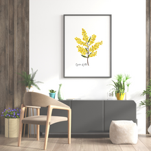 Load image into Gallery viewer, Golden Wattle Flower Poster
