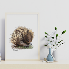 Load image into Gallery viewer, Echidna Poster
